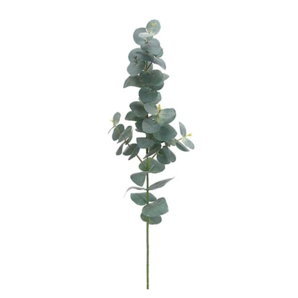 Eucalyptus Spray Green/Grey, 29"