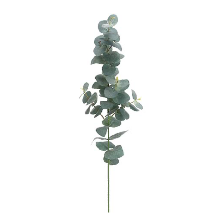 Eucalyptus Spray Green/Grey, 29"