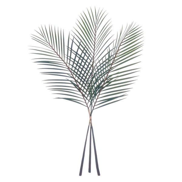 Palm Leaf Bundle, 40"