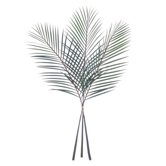 Palm Leaf Bundle, 40"
