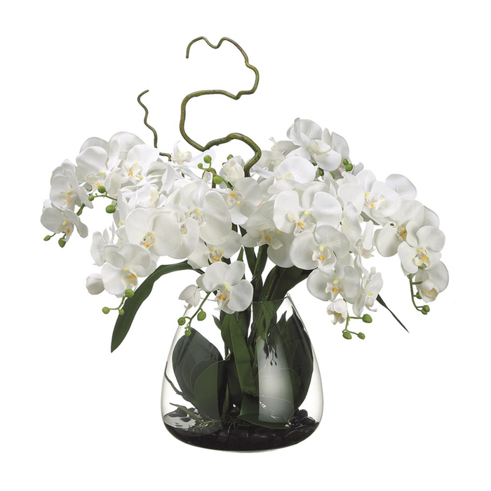 Cream Phalaenopsis Orchid in Glass Vase, 26"H