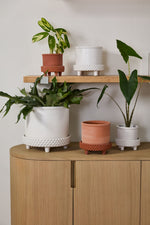 Jane Footed Pot with Saucer, 8"