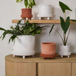 Jane Footed Pot with Saucer, 8"