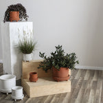 Jane Footed Pot with Saucer, 8"