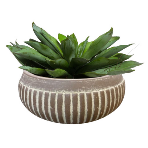 Succulent in Small Brown Bowl, 13" W