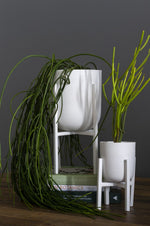 Mallow Plant Stand, White, 2 Sizes