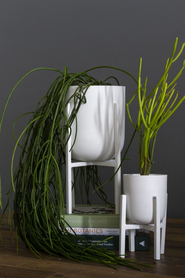Mallow Plant Stand, White, 2 Sizes