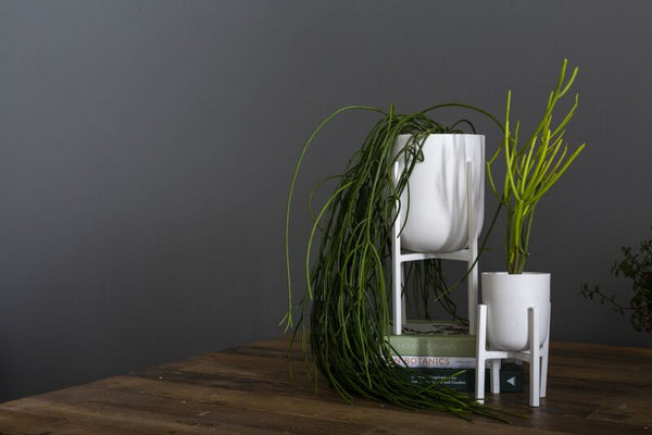 Mallow Plant Stand, White, 2 Sizes