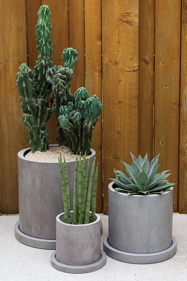 Marta Pot with Saucer, 2 Sizes