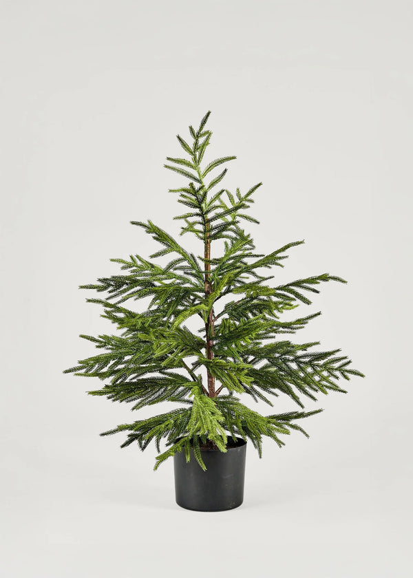 Artificial Norfolk Pine Tree - 36"