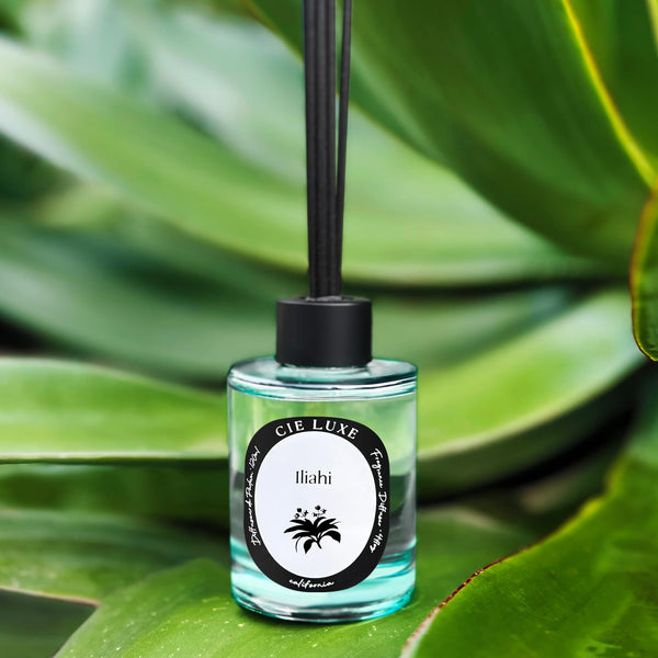 Fragrance Diffuser Iliahi 4fl oz