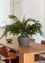 Real Touch Norfolk Pine Branch, 36"