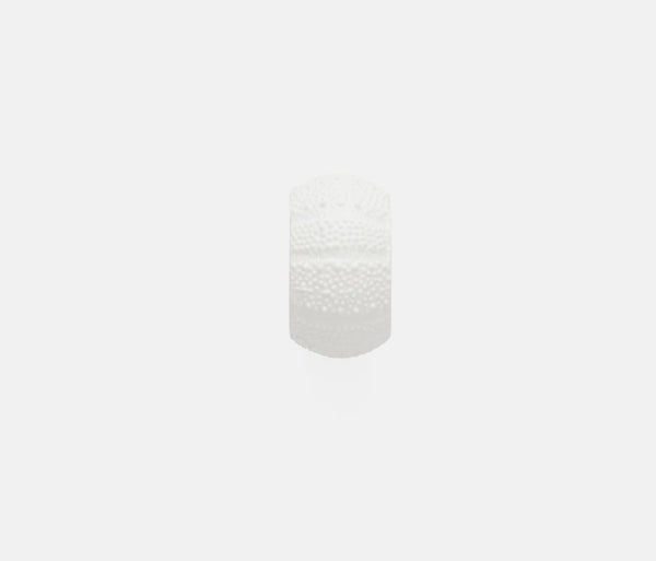 Marina White Sea Urchin Napkin Rings, S/4