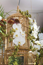 Tindra Lantern 12"x 20.75"