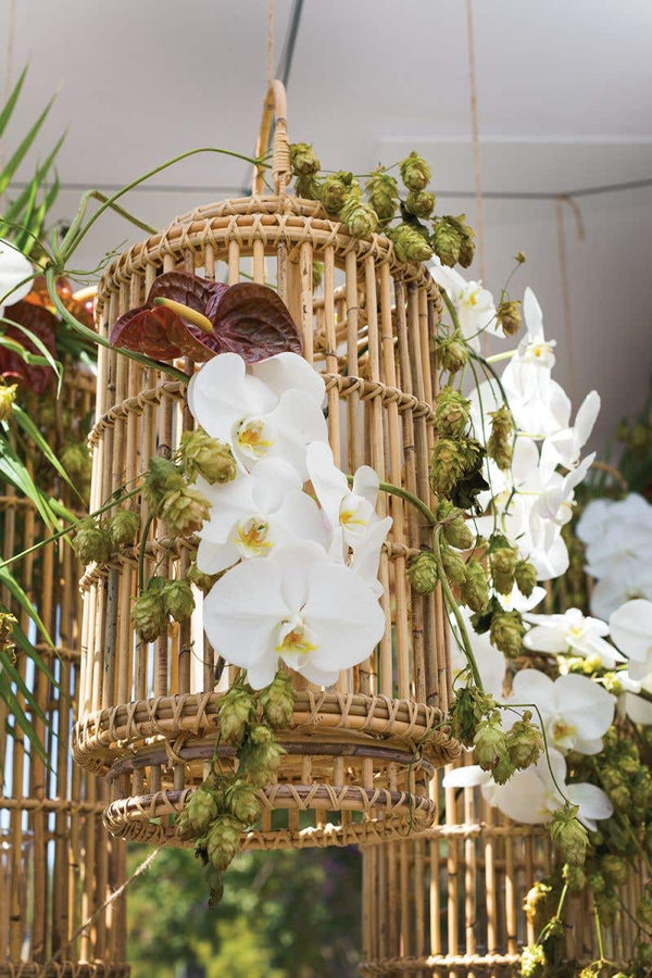 Tindra Lantern 12"x 20.75"