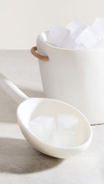 Ice Scoop