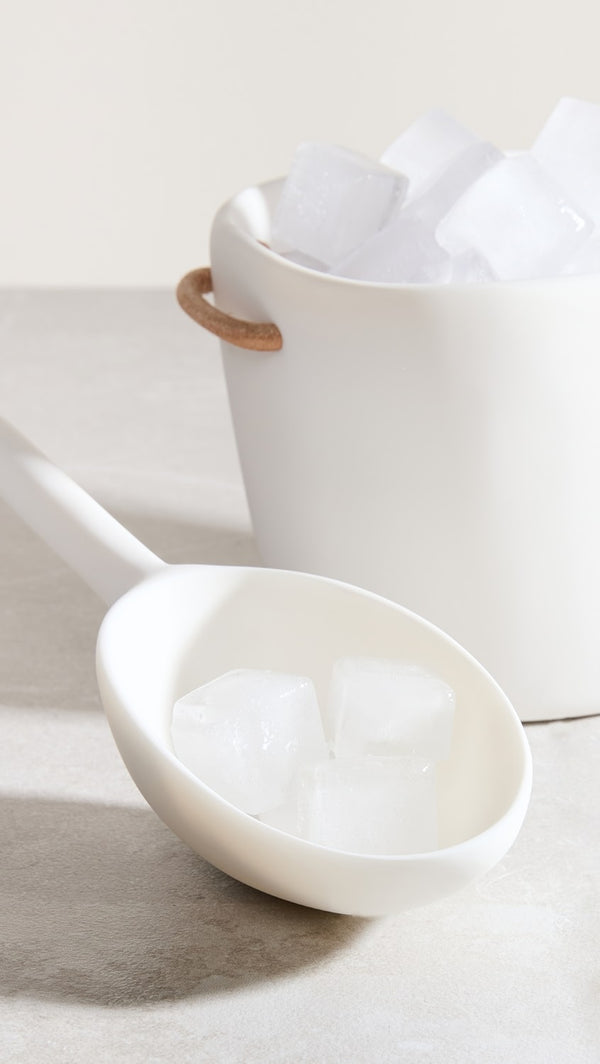 Ice Scoop