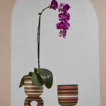 Trujillo Footed Pot, 8.25"