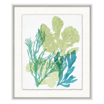 Deep Sea Kelp 8, 21"W x 25"H