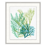 Deep Sea Kelp 5, 21"W x 25"H