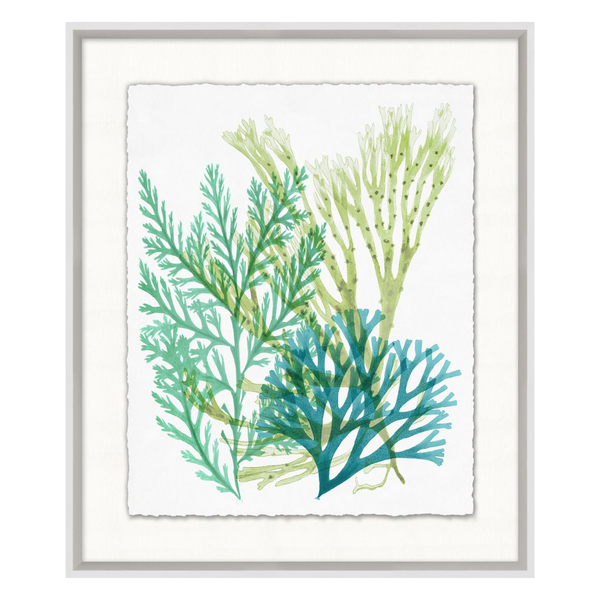 Deep Sea Kelp 5, 21"W x 25"H