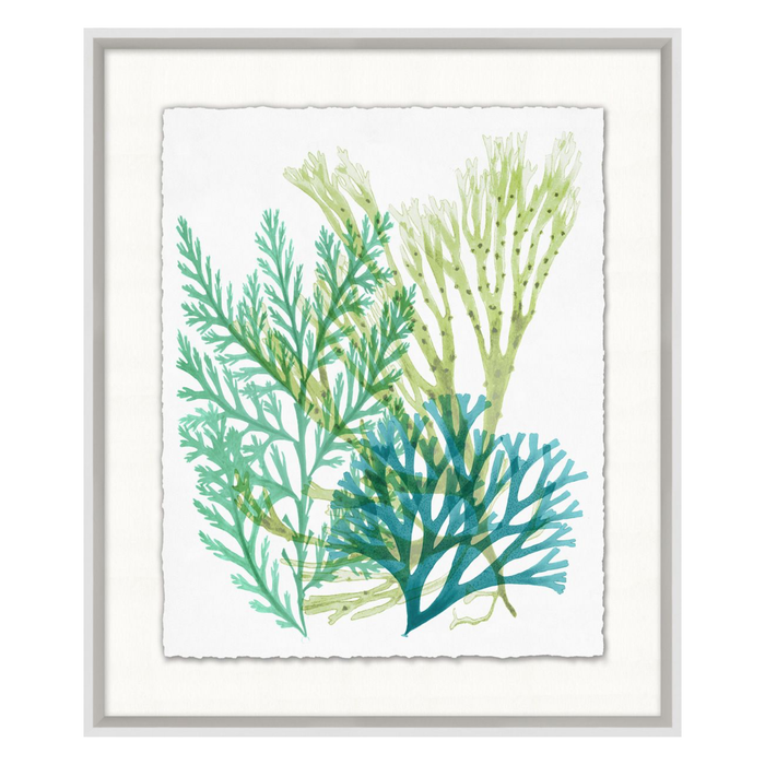 Deep Sea Kelp 5, 21"W x 25"H