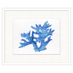Colorful Coral 4, 23.5"W x 19.5"H