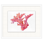 Colorful Coral 1, 23.5"W x 19.5"H