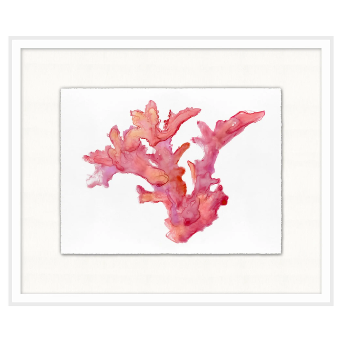 Colorful Coral 1, 23.5"W x 19.5"H