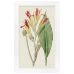 Tropical Flower 3, 15.25"W x 25.5"H