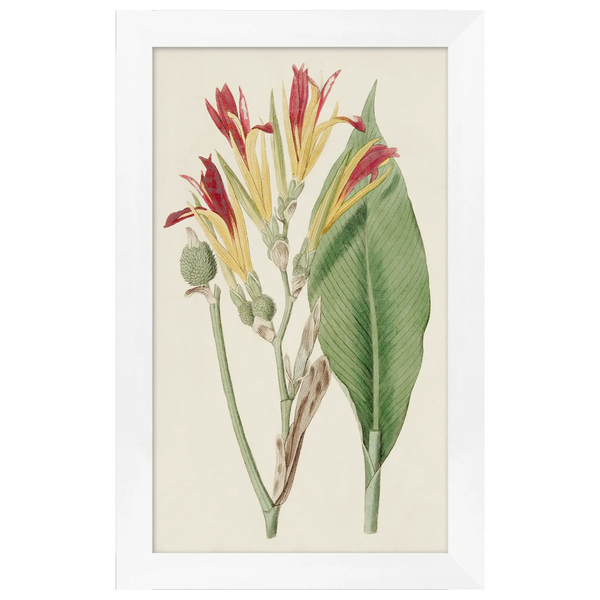 Tropical Flower 3, 15.25"W x 25.5"H