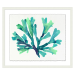 Transparaent Sea Life 3, 29.75"W x 25.75"H