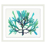 Transparaent Sea Life 4, 29.75"W x 25.75"H