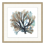 Watercolor Coral 1, 32"W x 32"H