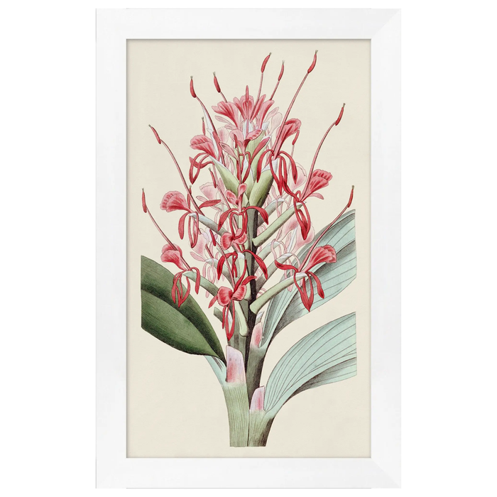 Tropical Flower 6, 15.25"W x 25.25"H