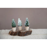 Faux Pine Tree in Paper Pot, Ice Finish, 3 Styles Assorted