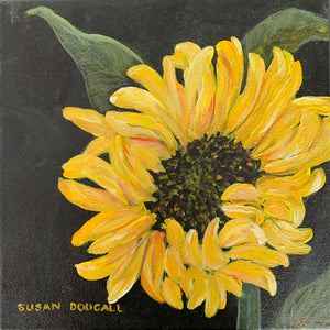 Sun Flower- Square, 12.5"L x 12.5"W
