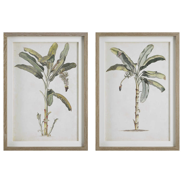 Banana Palm Framed Prints S/2, 25"W X 35"H