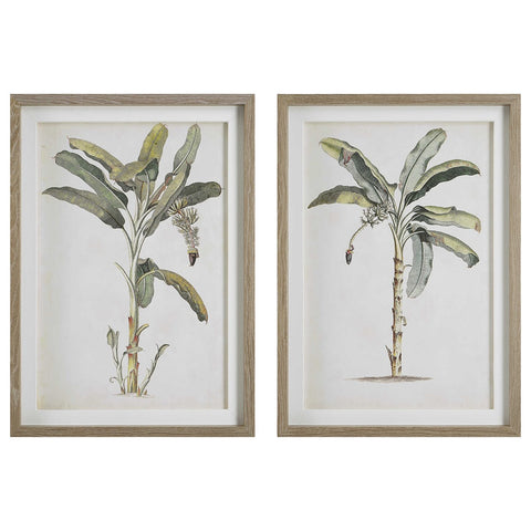 Banana Palm Framed Prints S/2, 25"W X 35"H