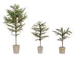 Faux Pine Tree in Distressed Terracotta Pot