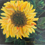 Sun Flower- Square, 12.5"L x 12.5"W