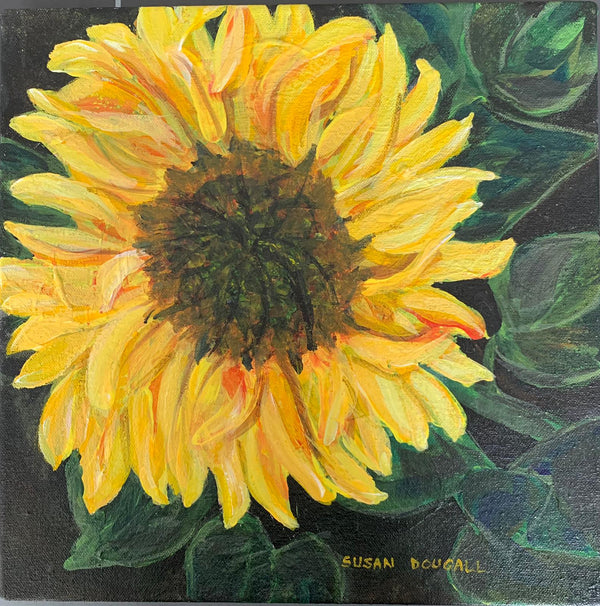 Sun Flower- Square, 12.5"L x 12.5"W