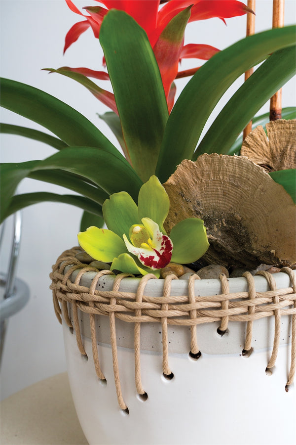 Hideaway Pot