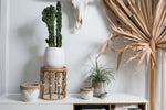Hideaway Pot
