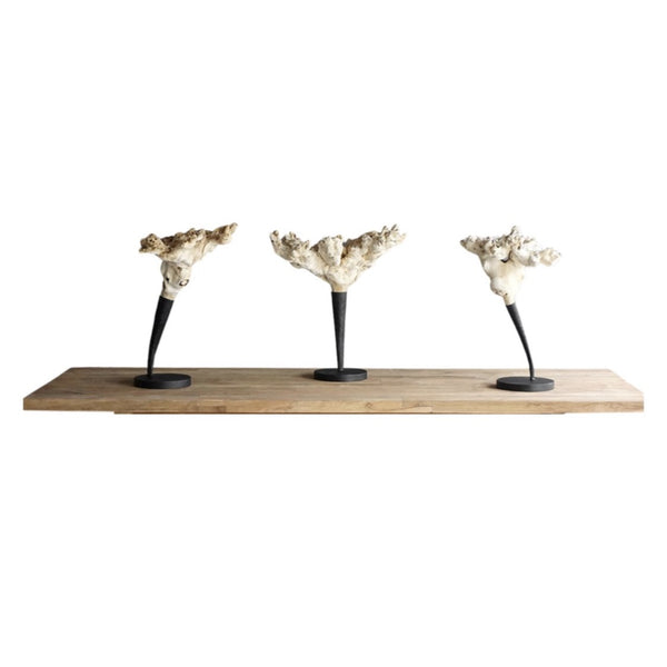 Gamma Proa Wood Statue, 16"L x 20"W x 24"H