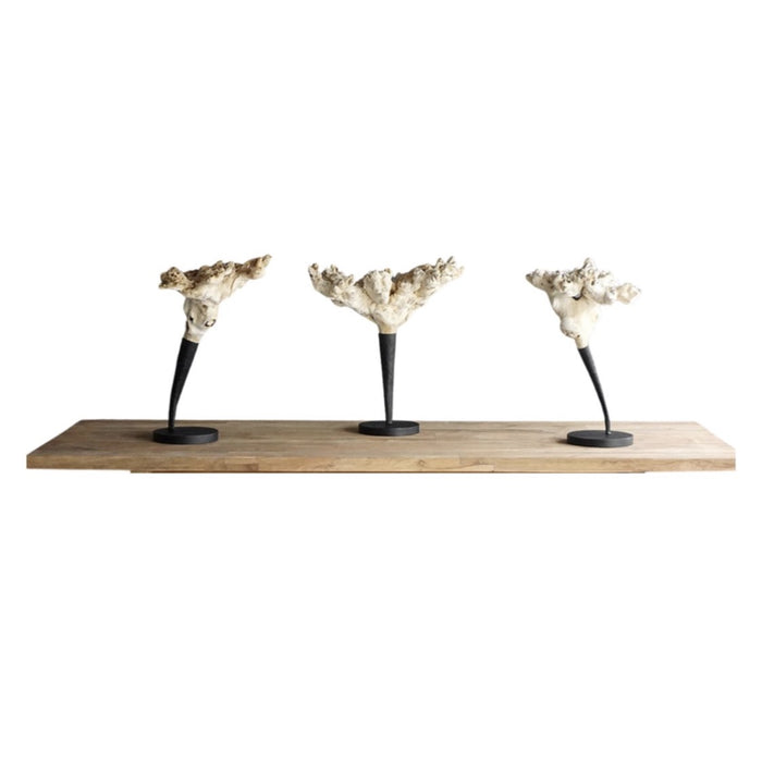 Gamma Proa Wood Statue, 16"L x 20"W x 24"H