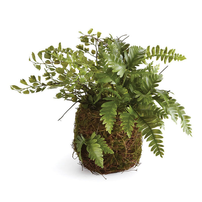 Mix Fern Rustic Drop-In, 8"