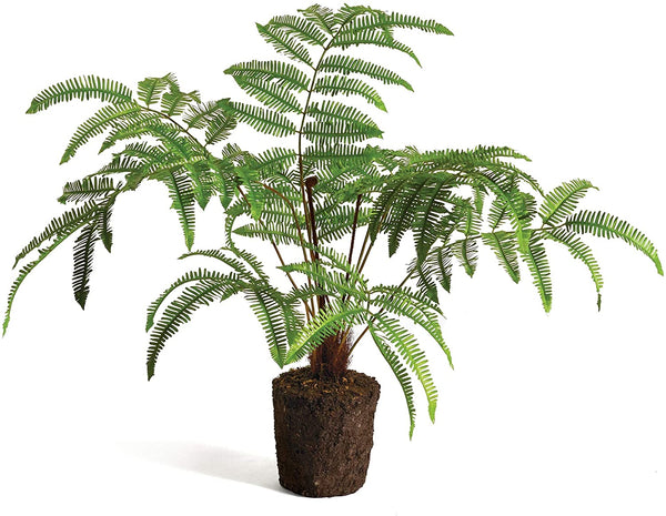 Forest Fern Drop-In 29.5"