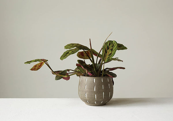 Glazed Terracotta Planter with Hand Painted Lines