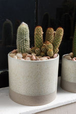 Downy Pot, 2 Sizes
